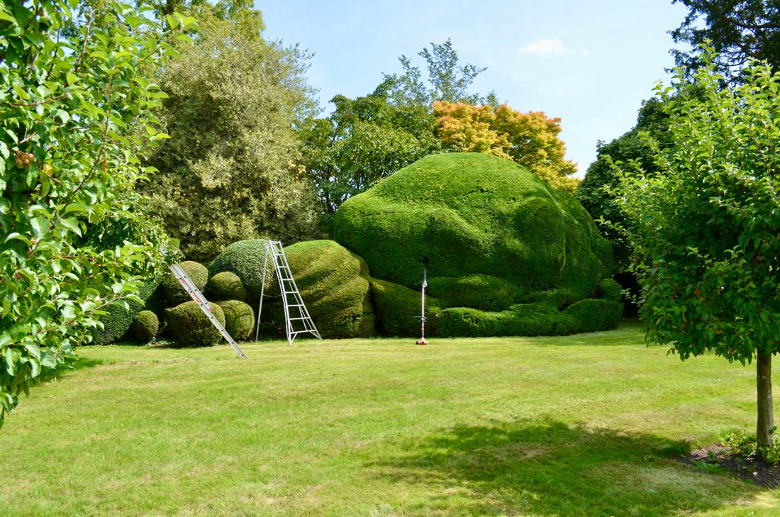 Crew trimming tall sculpted hedges to keep grounds sharp