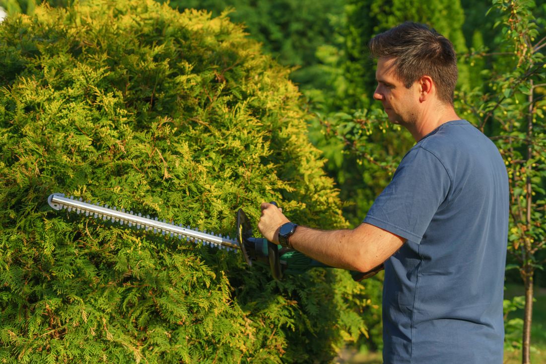First View gardener trimming hedges along a residential property
