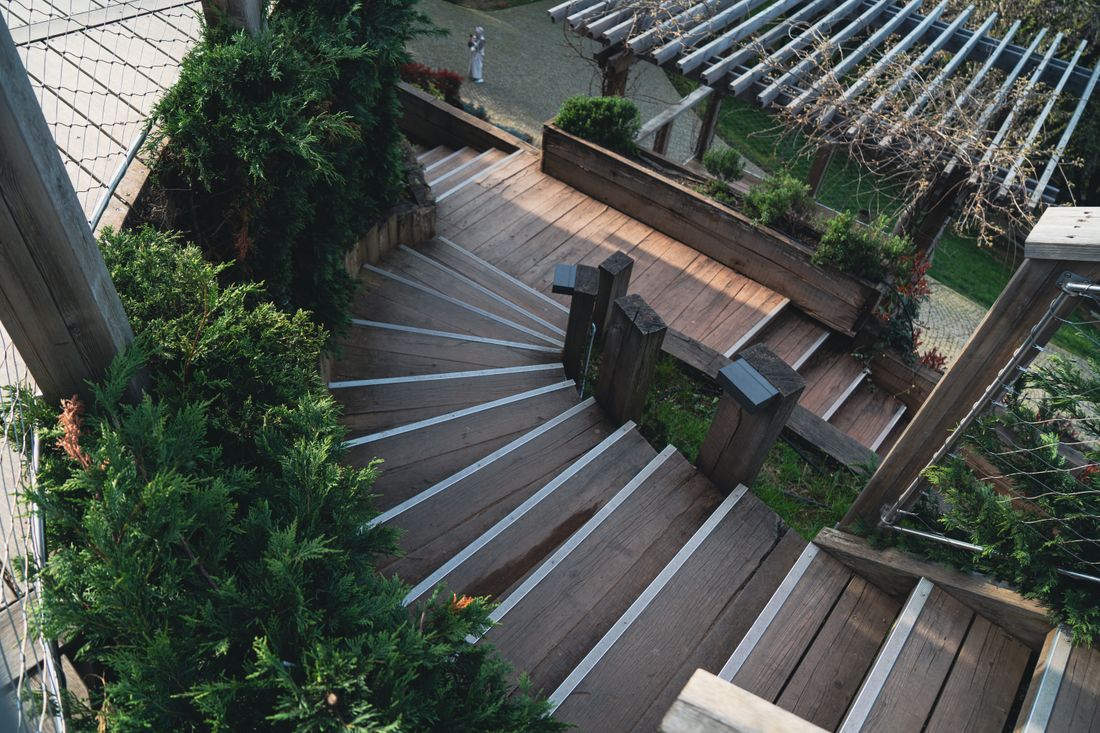 Professionally designed garden with shaped shrubs