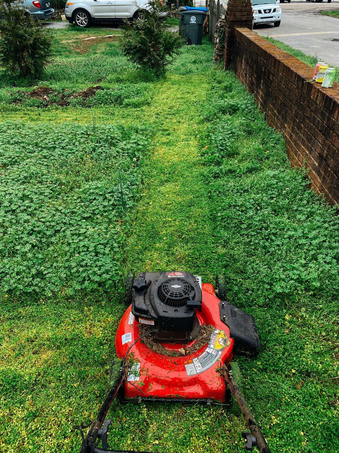 Mowing a healthy green lawn in a residential yard