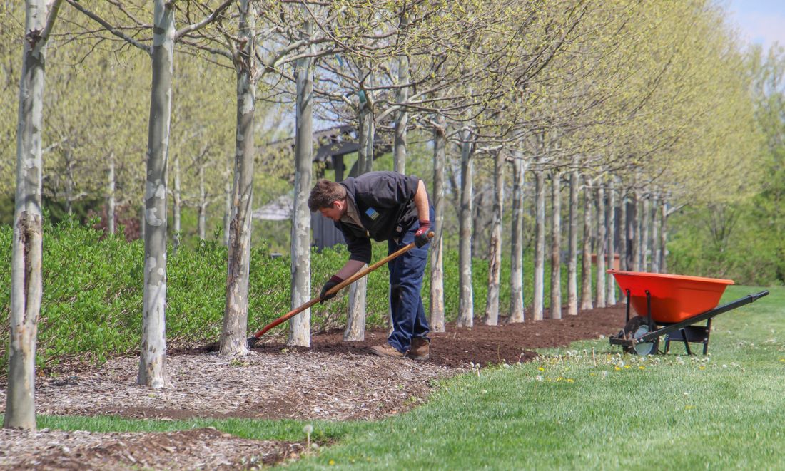 Raking leaves during a seasonal clean-up